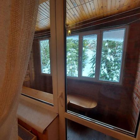 Villa Затишок à Tysovets Extérieur photo